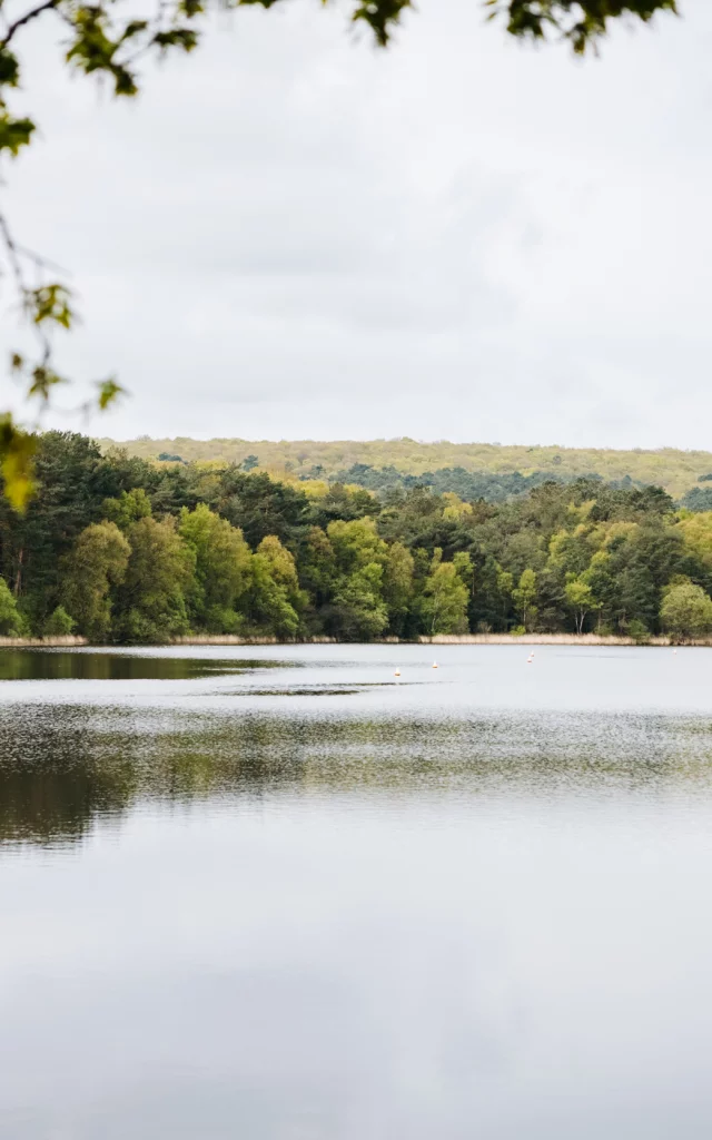 Forêt de Brocéliande - Etang de Paimpont