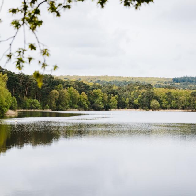 Forêt de Brocéliande - Etang de Paimpont