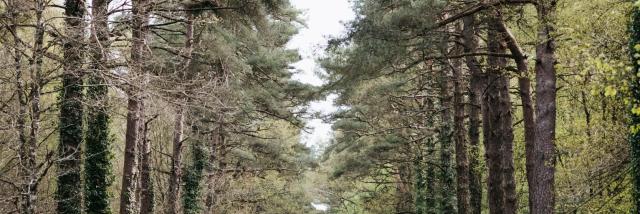 Expérience Bretonne - Brocéliande Bike Tour