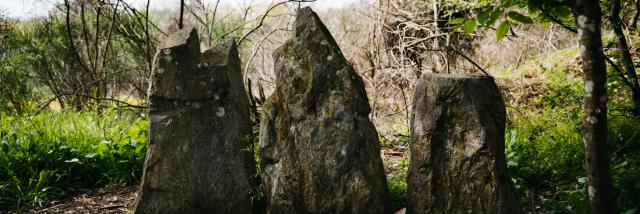 Expérience Bretonne - Brocéliande Bike Tour
