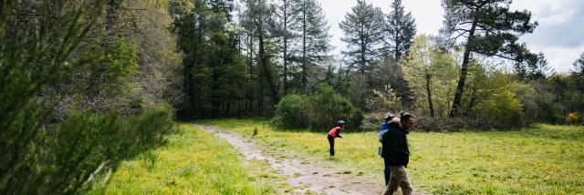 Expérience Bretonne - Brocéliande Bike Tour