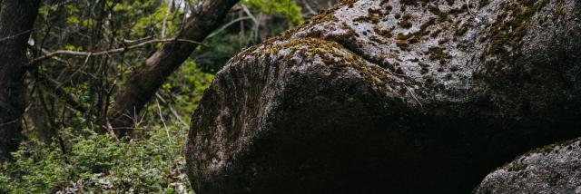 Expérience Bretonne Vallée Des Traouïero 7