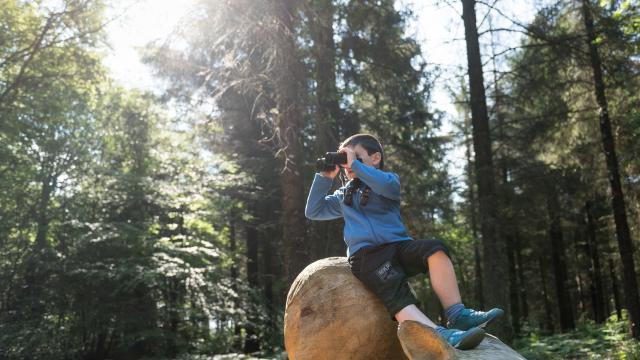 Saint-Péver - Balade dans la forêt départementale d'Avaugour Bois Meur