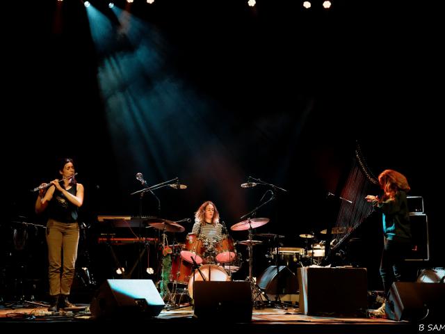 Rennes - Festival Jazz à l'Ouest - Nout