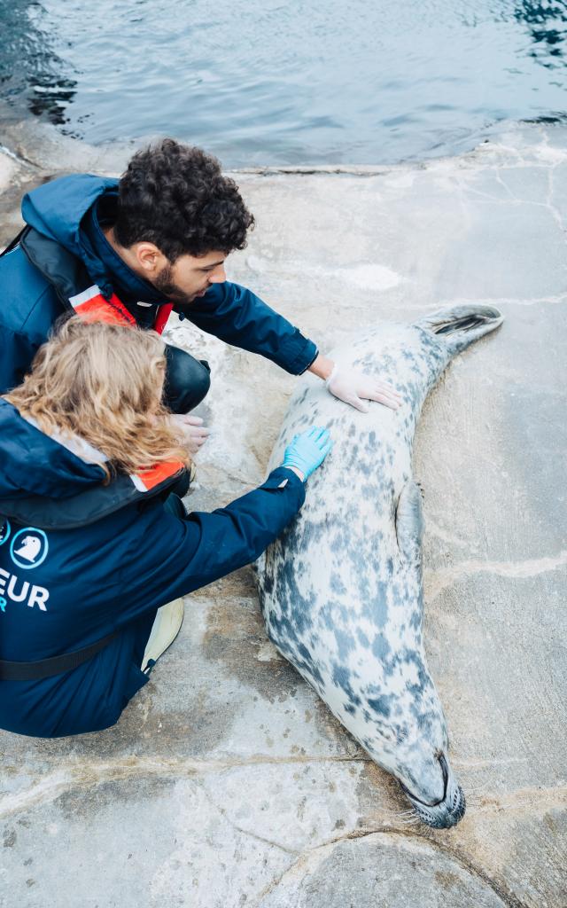 Oceanopolis - Expérience Soigneur d'un Jour - Brest