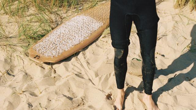 Surf