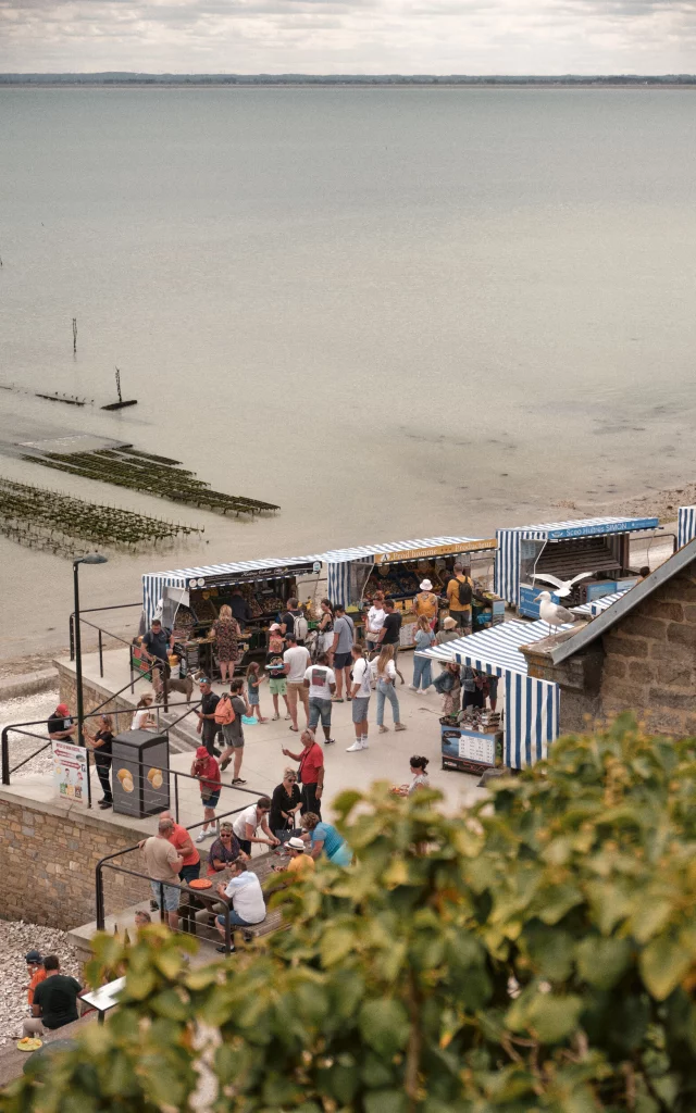 Cancale - Marché aux huîtres - Mouette
