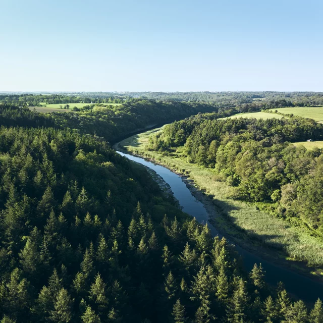 Pont-Scorff - Rives du Scorff