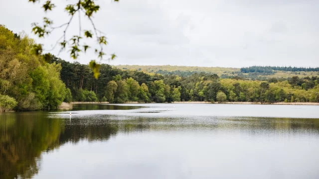 Paimpont - Experience Bretonne - Broceliande Bike tour