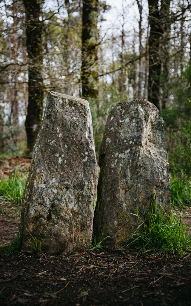 Paimpont - Experience Bretonne - Broceliande Bike tour - paysage