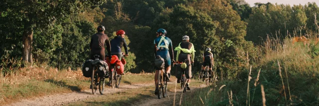 Gravel en forêt