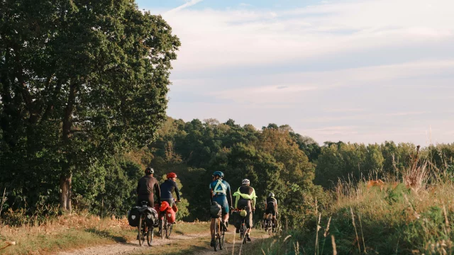Gravel en forêt