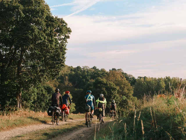 Gravel en forêt