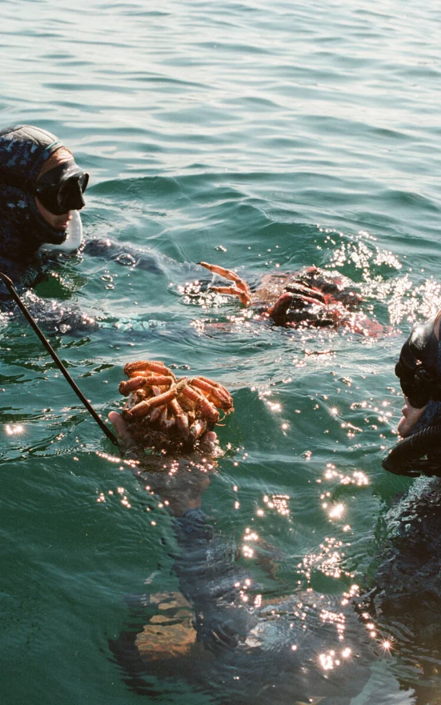 Plongée sous marine, Ecole d'apnée Liquide