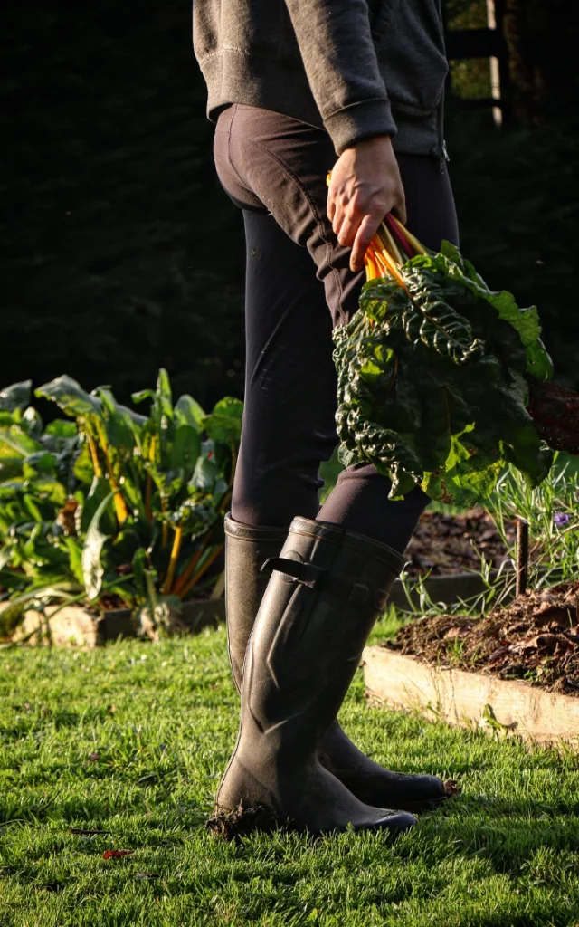Les Filles En Bottes