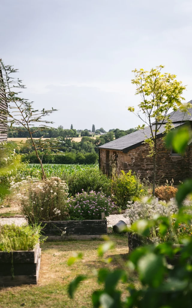 Bacs d'aromatiques - Les Jardins de la Matz