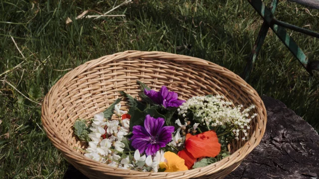 La Mettrie - Panier fleuri - Aux Bonnes Herbes